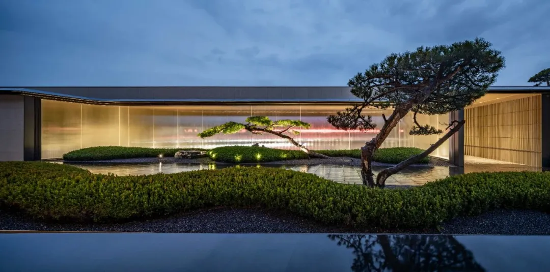 1737340917400586.jpg 1737340864746.jpg