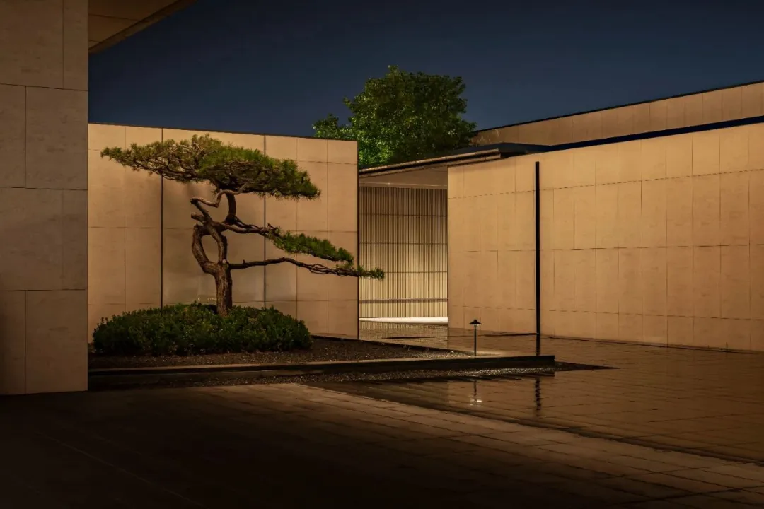 1737340921377702.jpg 1737340866645.jpg