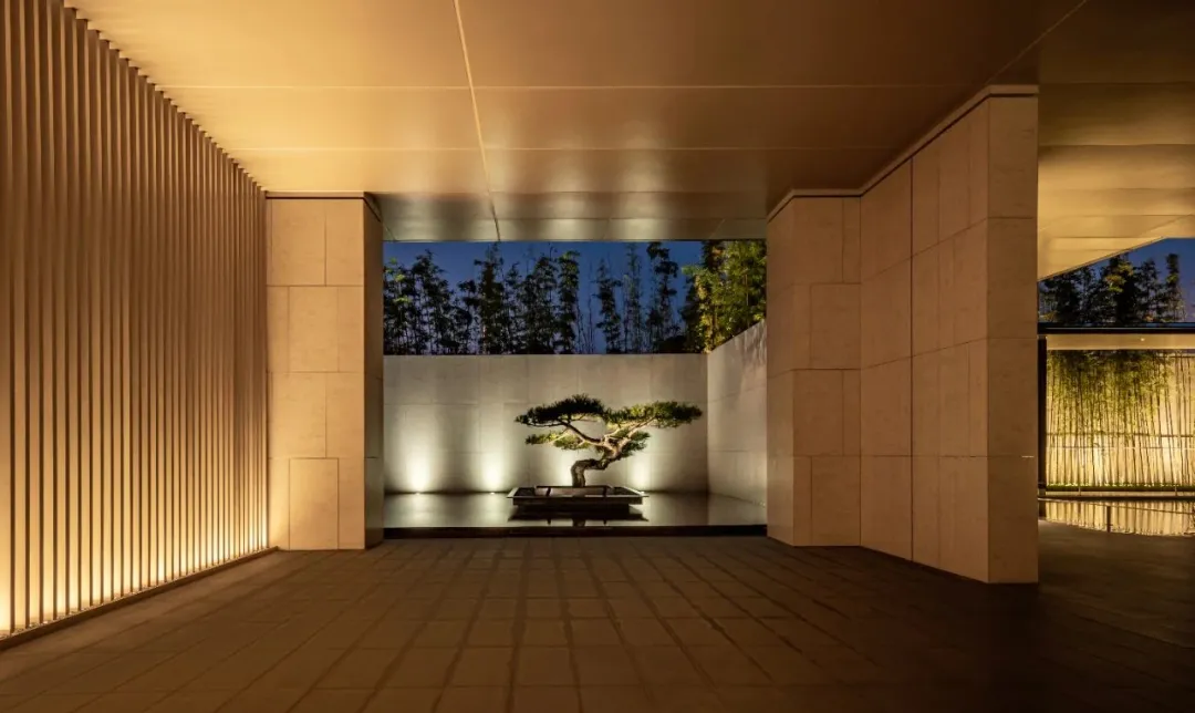 1737340926152763.jpg 1737340868863.jpg