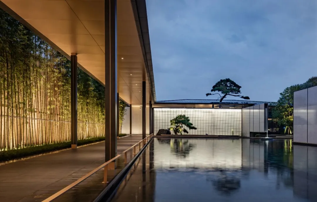 1737340930764387.jpg 1737340873190.jpg