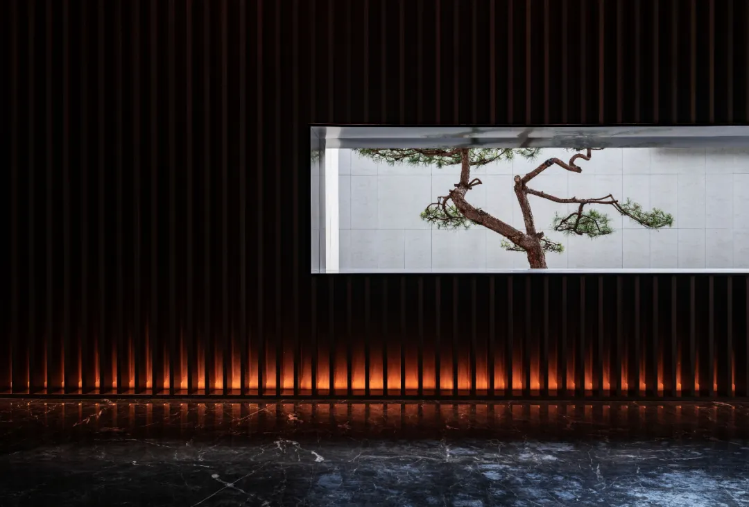 1737340974554221.jpg 1737340913131.jpg