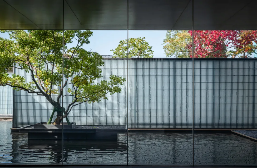 1737340978129315.jpg 1737340915940.jpg