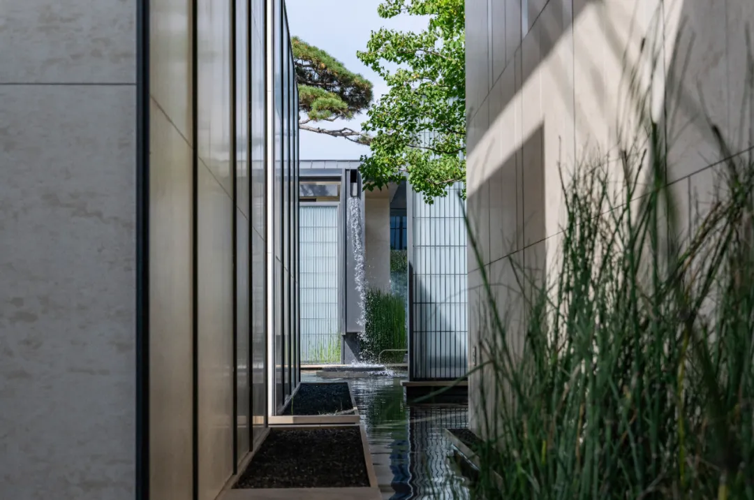 1737340987270137.jpg 1737340925374.jpg