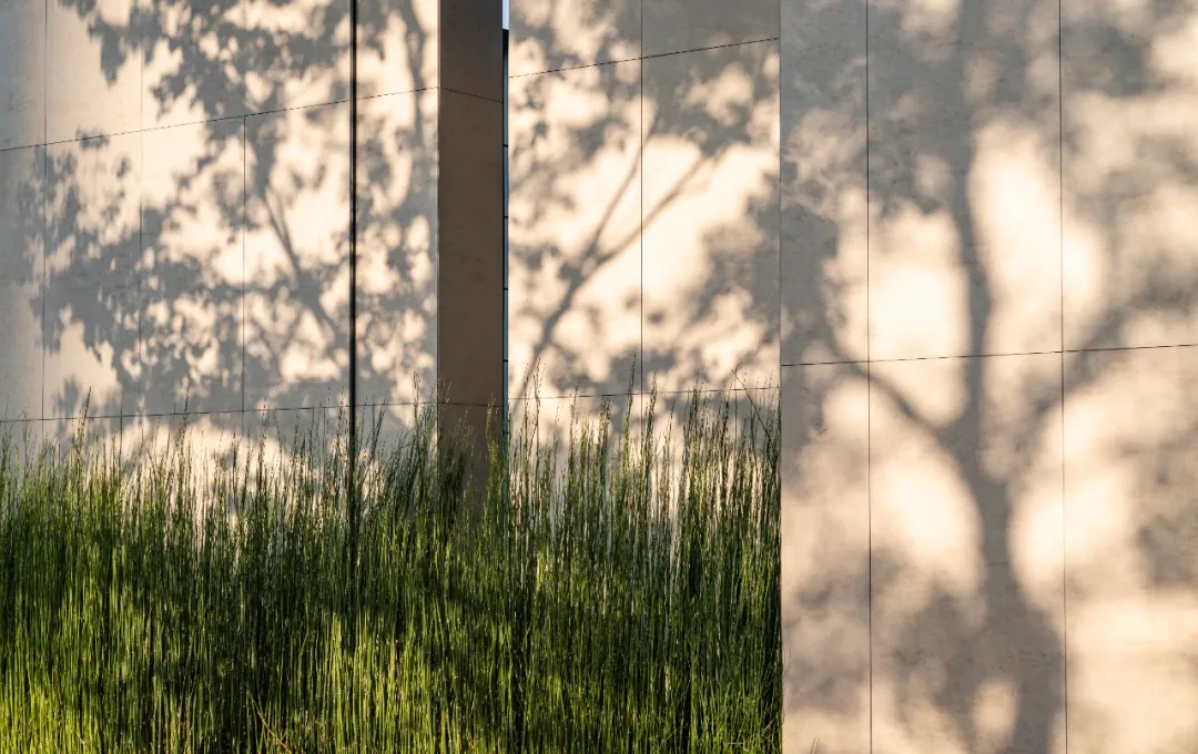 1737340991969577.jpg 1737340927742.jpg