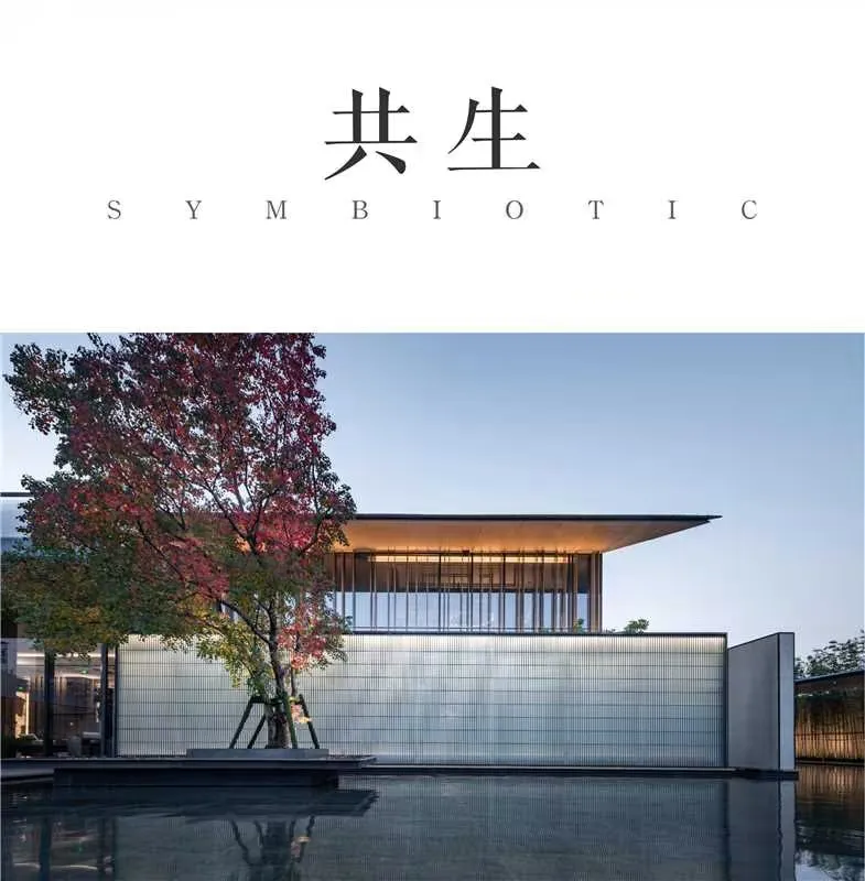 1737341014195406.jpg 1737340964292.jpg