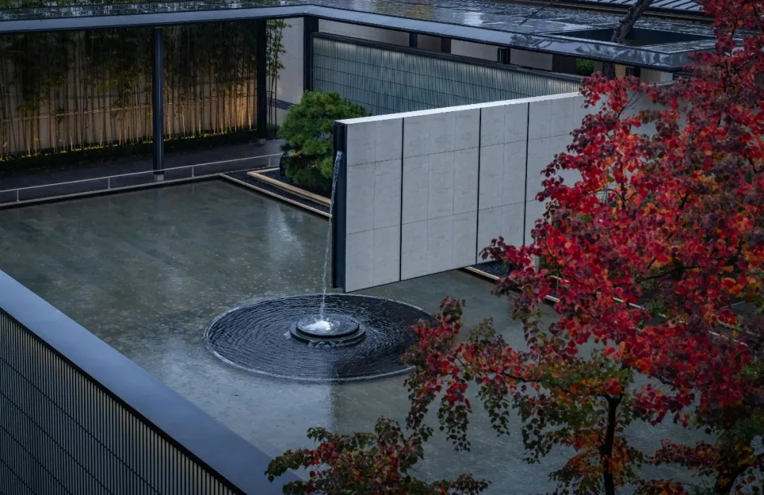 1737341027552548.jpg 1737340973051.jpg