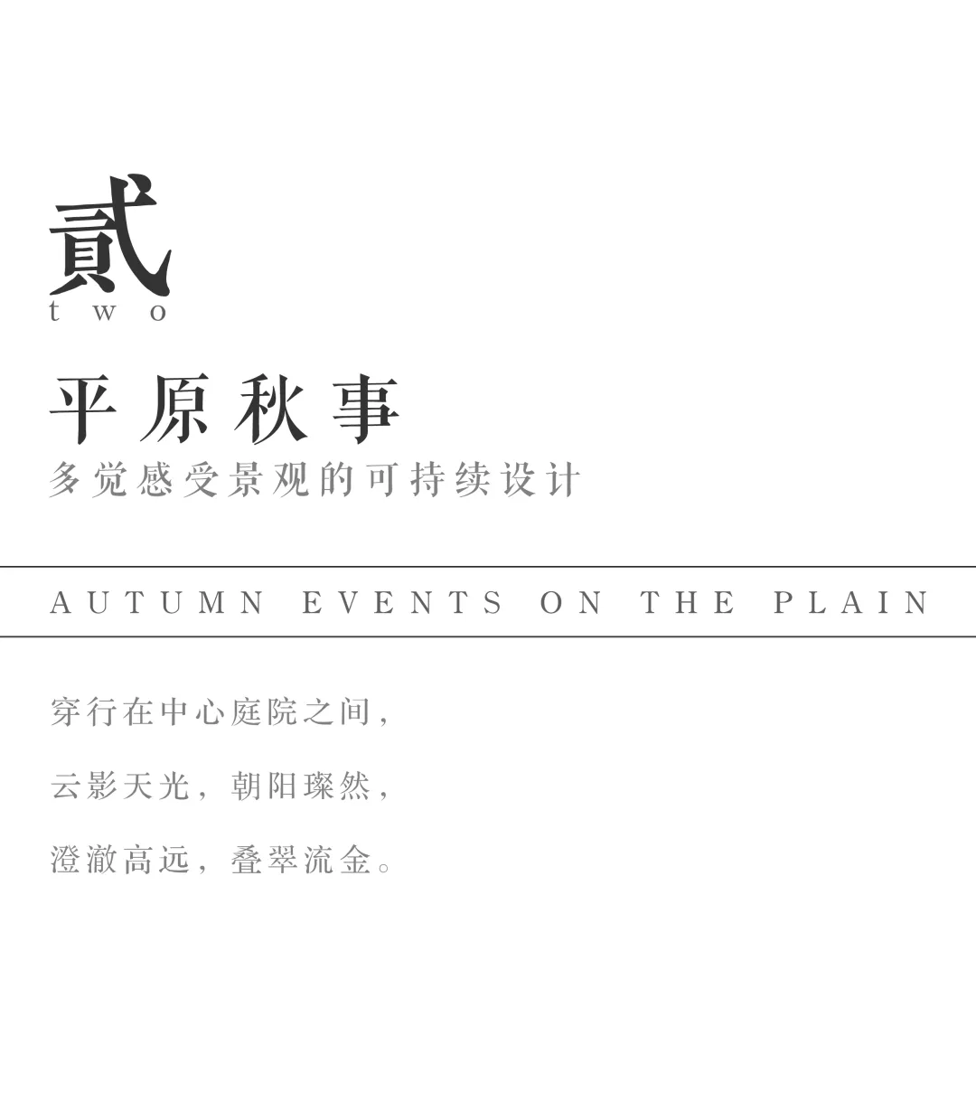 1737341057627648.jpg 1737340999981.jpg