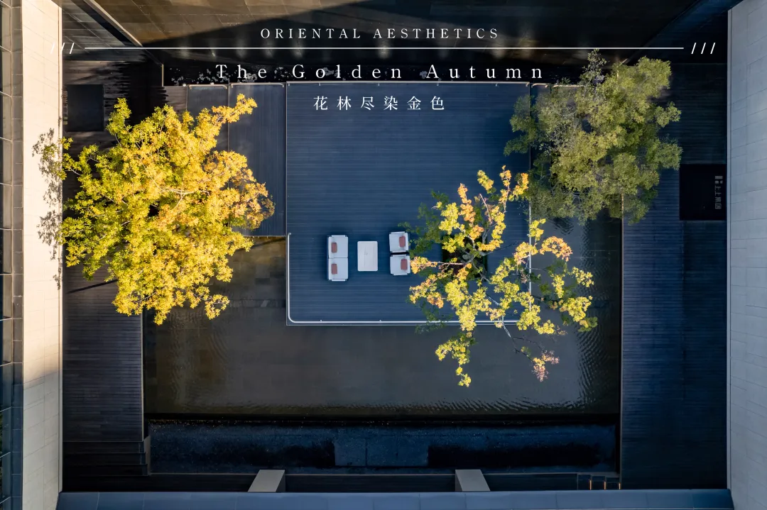 1737341061780946.jpg 1737341004686.jpg