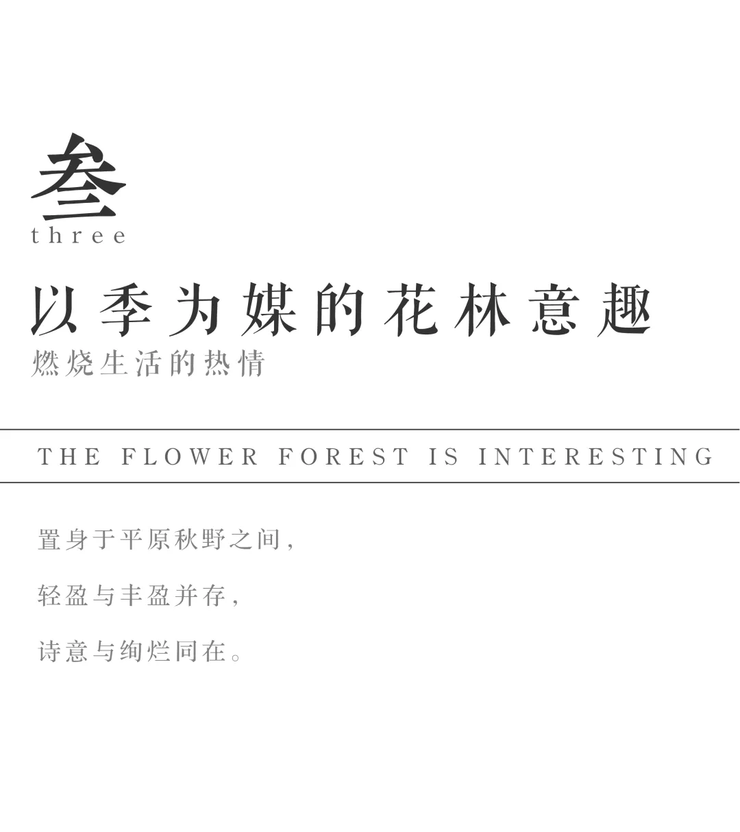 1737341169179263.jpg 1737341095034.jpg