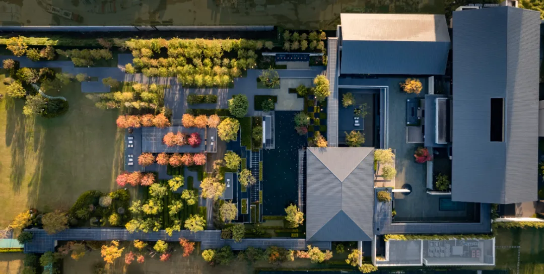 1737341173166185.jpg 1737341099263.jpg