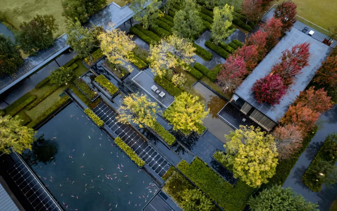 1737341184150726.jpg 1737341103715.jpg