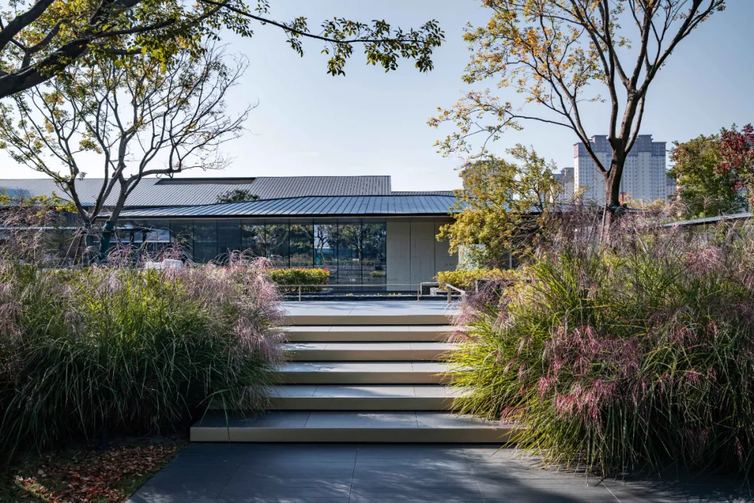 1737341214199808.jpg 1737341162543.jpg