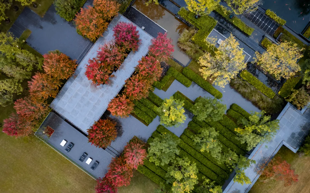 1737341247550202.jpg 1737341192268.jpg