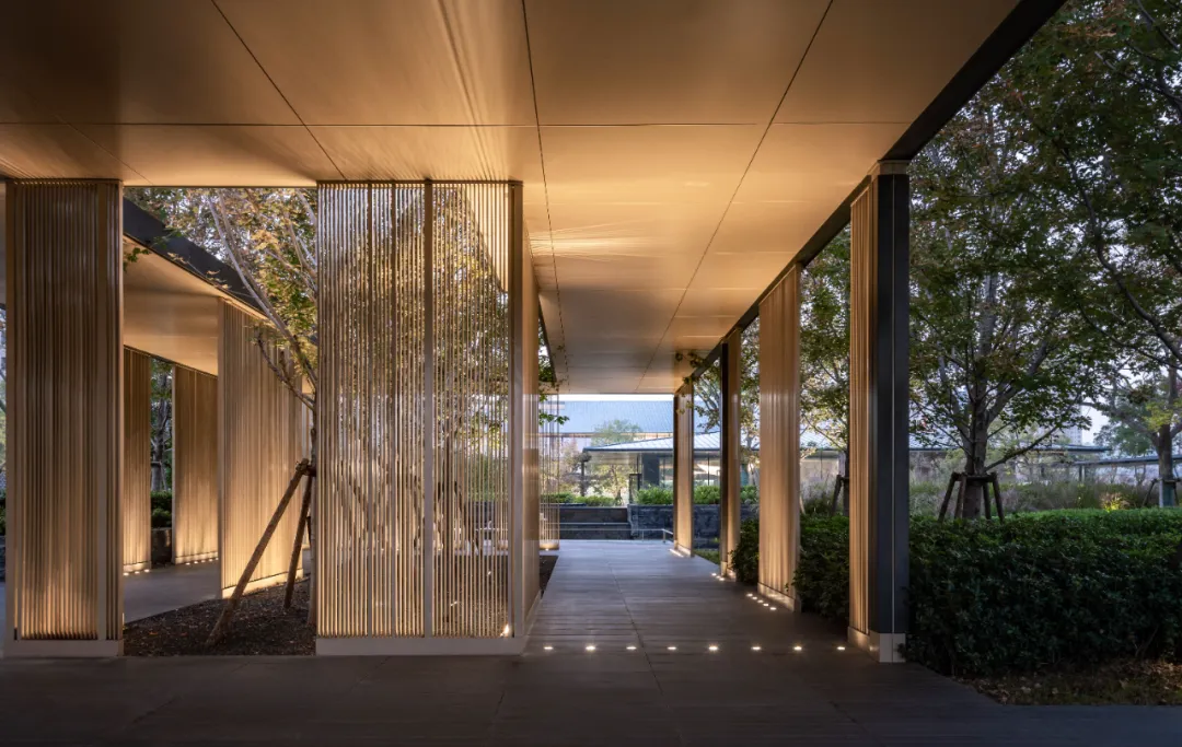 1737341256322109.jpg 1737341196124.jpg