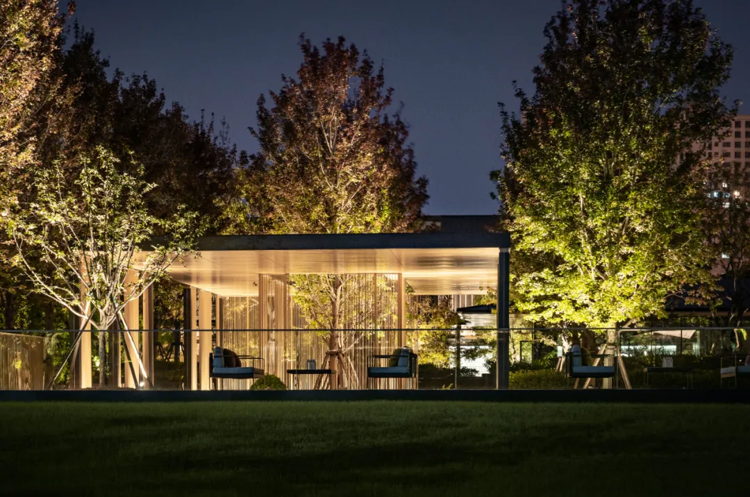 1737341265157043.jpg 1737341202532.jpg