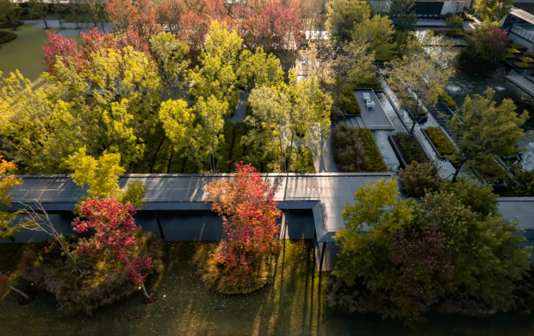 1737341285188895.jpg 1737341241626.jpg