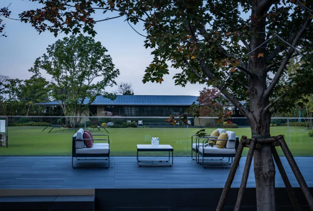 1737341289330147.jpg 1737341245475.jpg