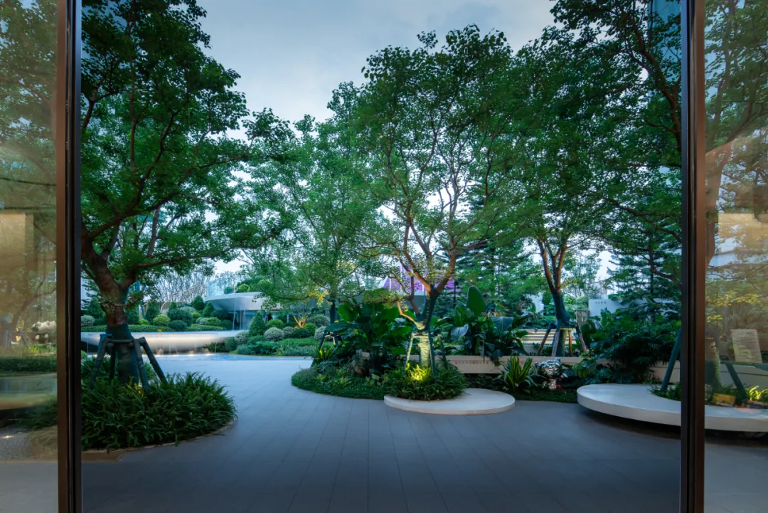 1737342463154342.jpg 1737342454485.jpg