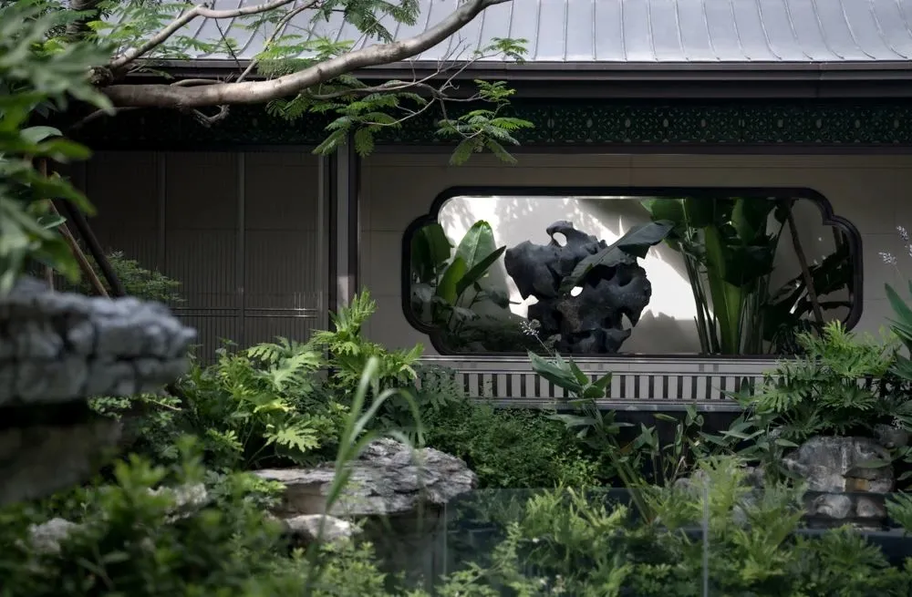 1737344495112200.jpg 1737344477072.jpg