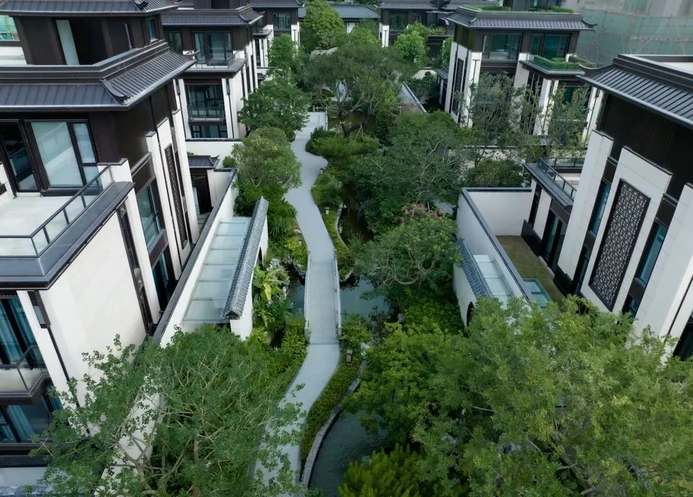 1737344950142501.jpg 1737344945682.jpg