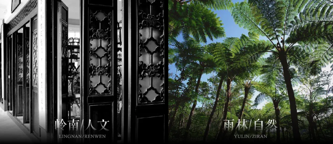 1739930246164300.jpg 1739930236943.jpg