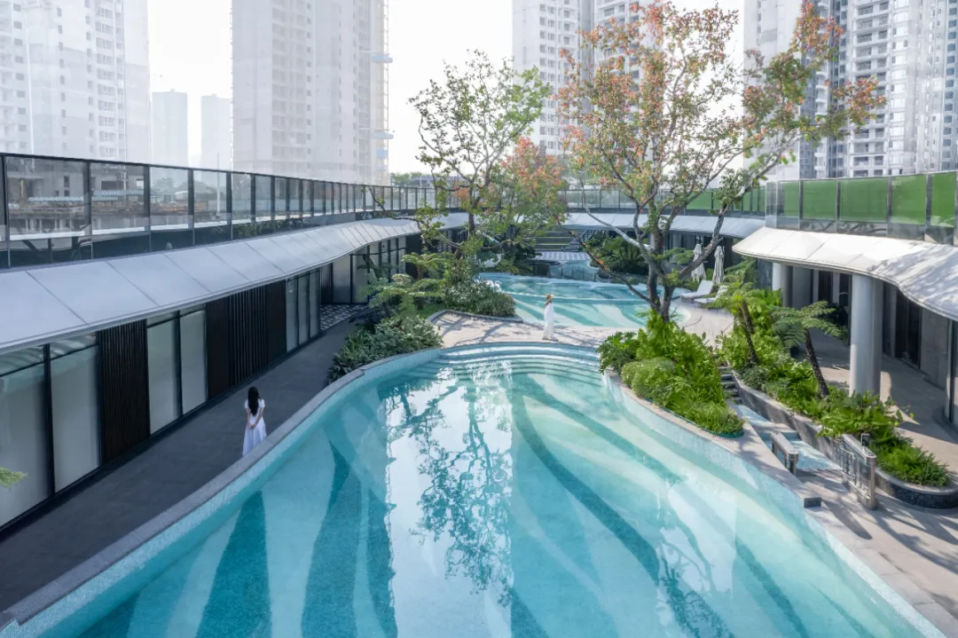 1739930267176939.jpg 1739930258735.jpg