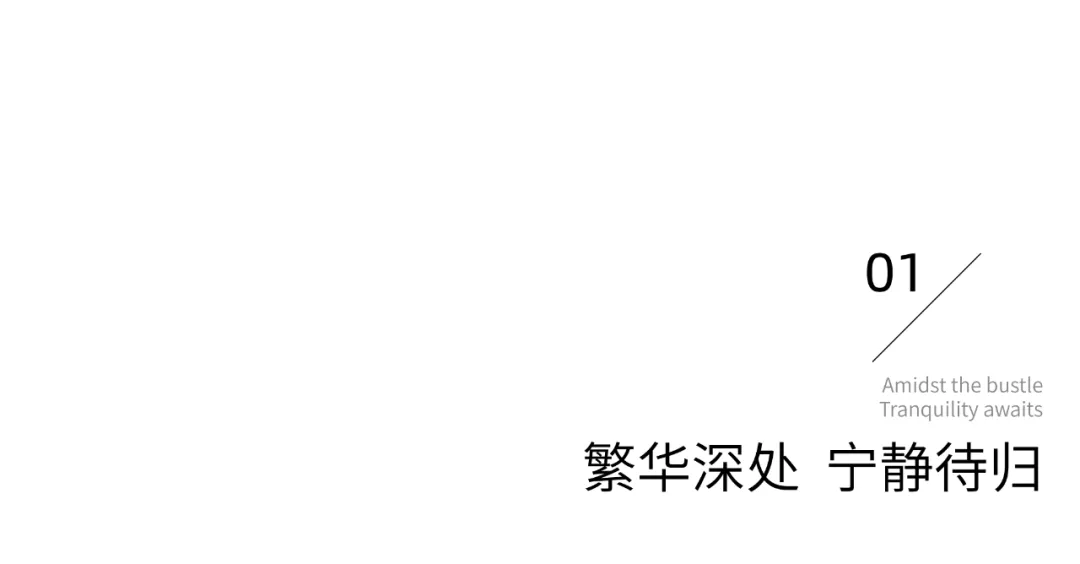 1739930279175504.jpg 1739930264125.jpg