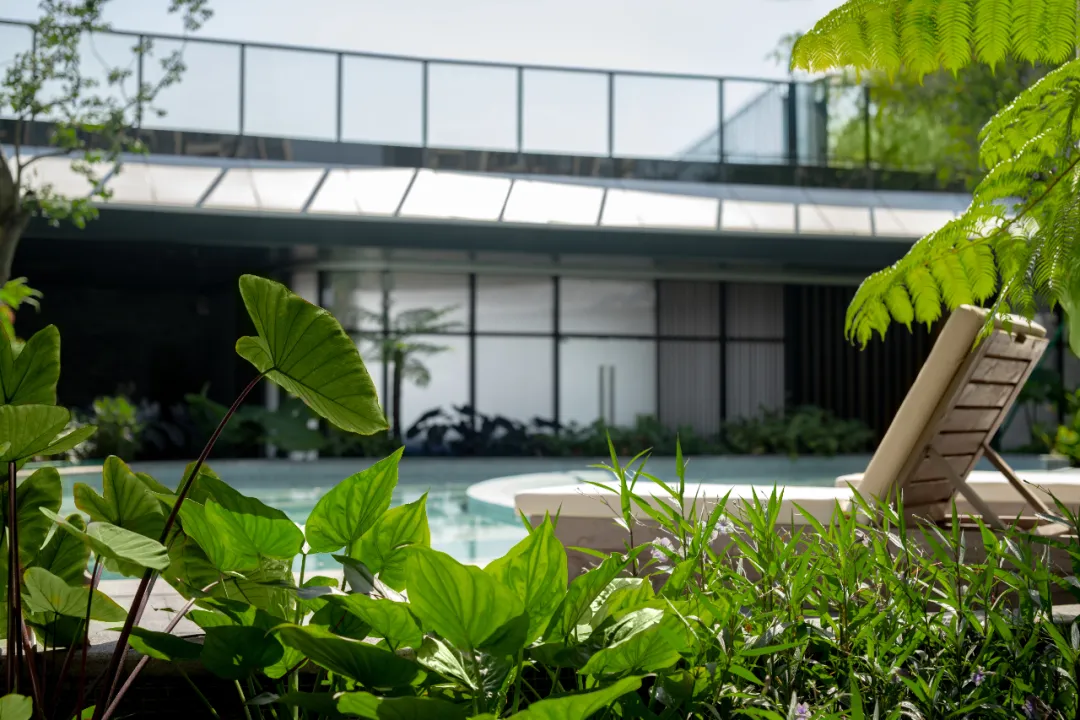 1739930476579724.jpg 1739930459944.jpg