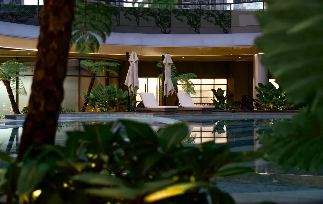 1739930481173975.jpg 1739930464611.jpg