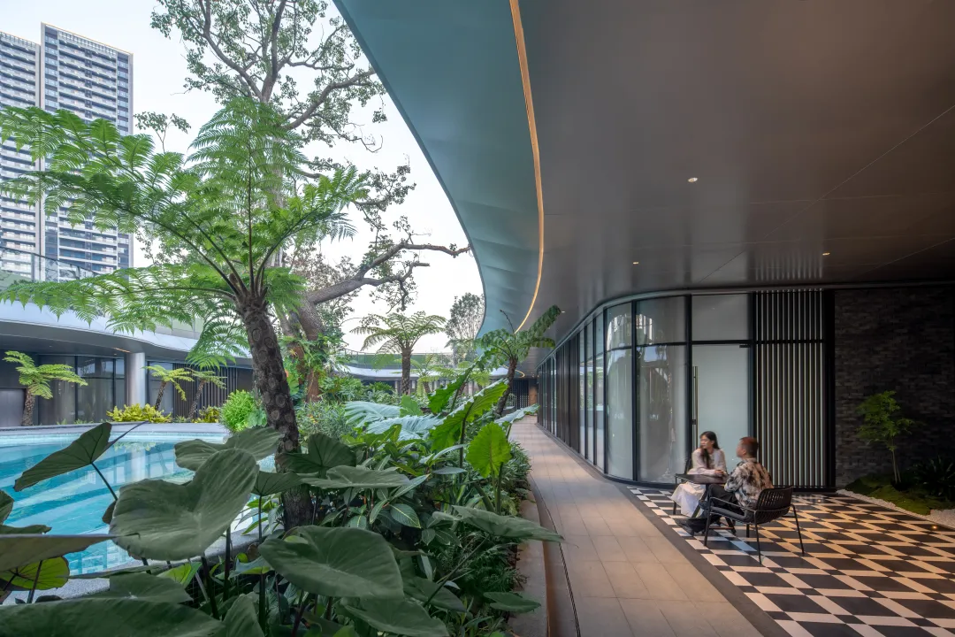 1739930525202783.jpg 1739930515014.jpg