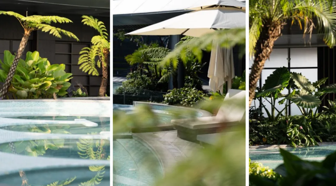 1739931010162293.jpg 1739931003662.jpg