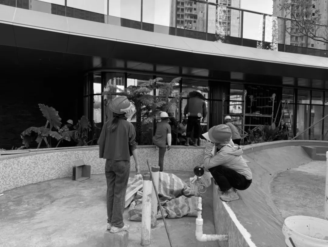 1739931047147765.jpg 1739931032921.jpg