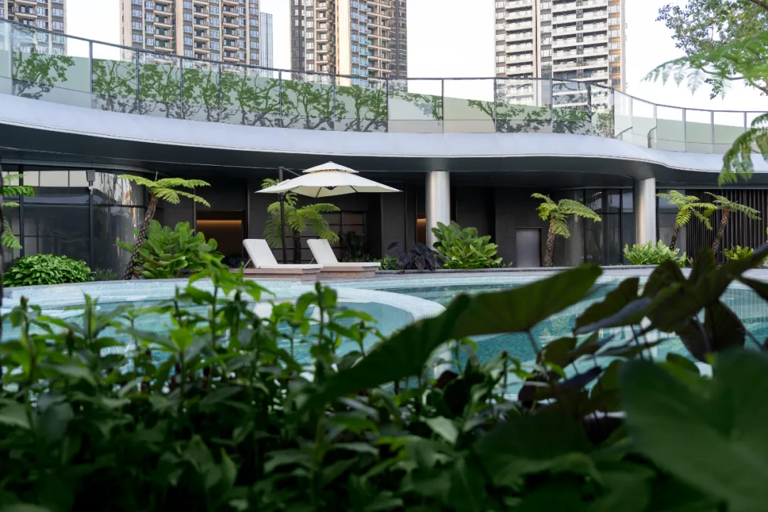 1739931085319813.jpg 1739931074836.jpg