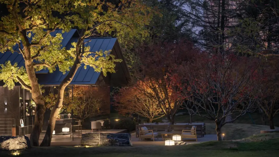 1740016433163830.jpg 1740016433180.jpg