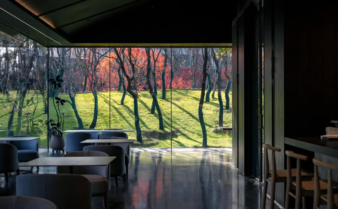 1741078283166308.jpg 1741078124145.jpg