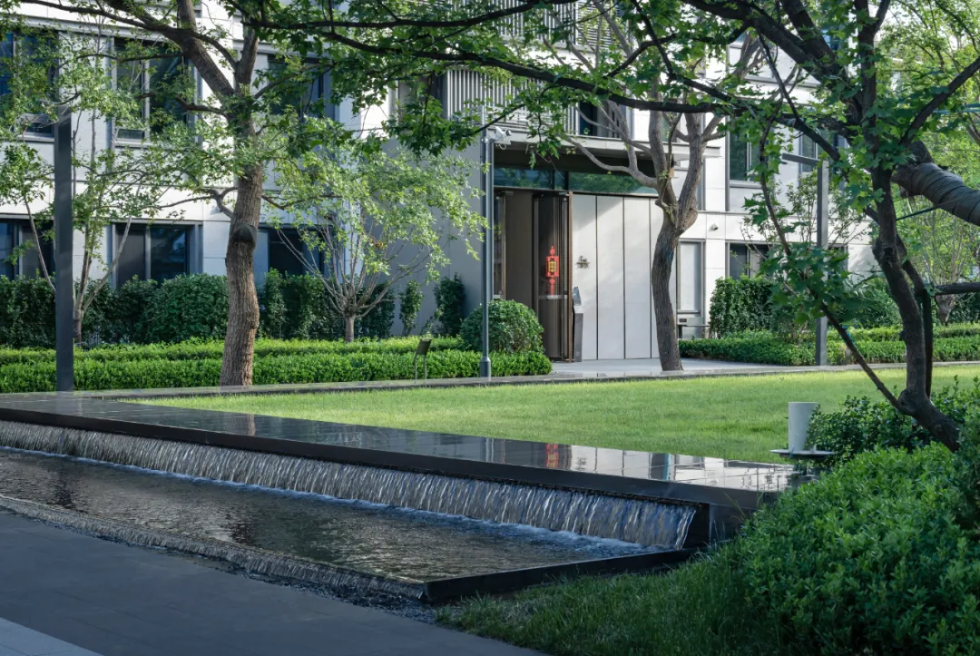 1741139661541312.jpg 1741139655401.jpg