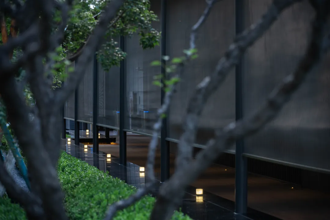 1741139678325488.jpg 1741139675966.jpg