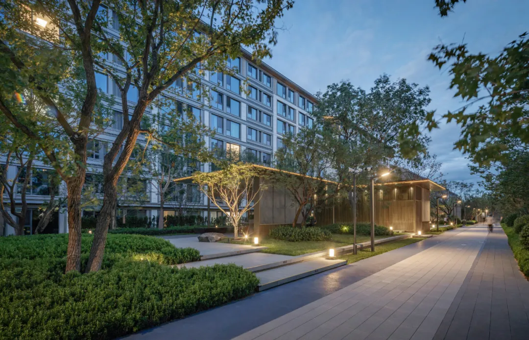 1741139842337700.jpg 1741139832082.jpg